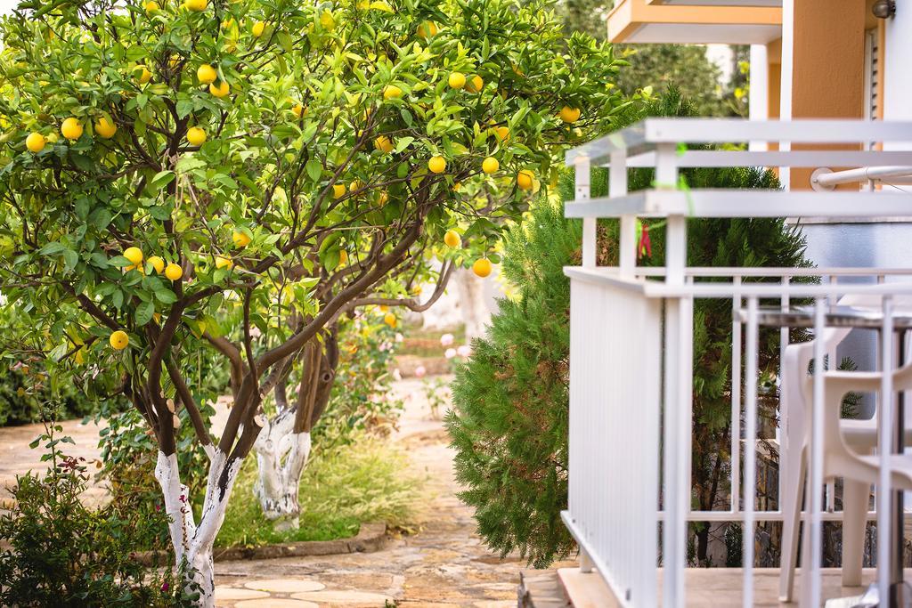 Primavera Paradise Apartments Agios Nikolaos Extérieur photo
