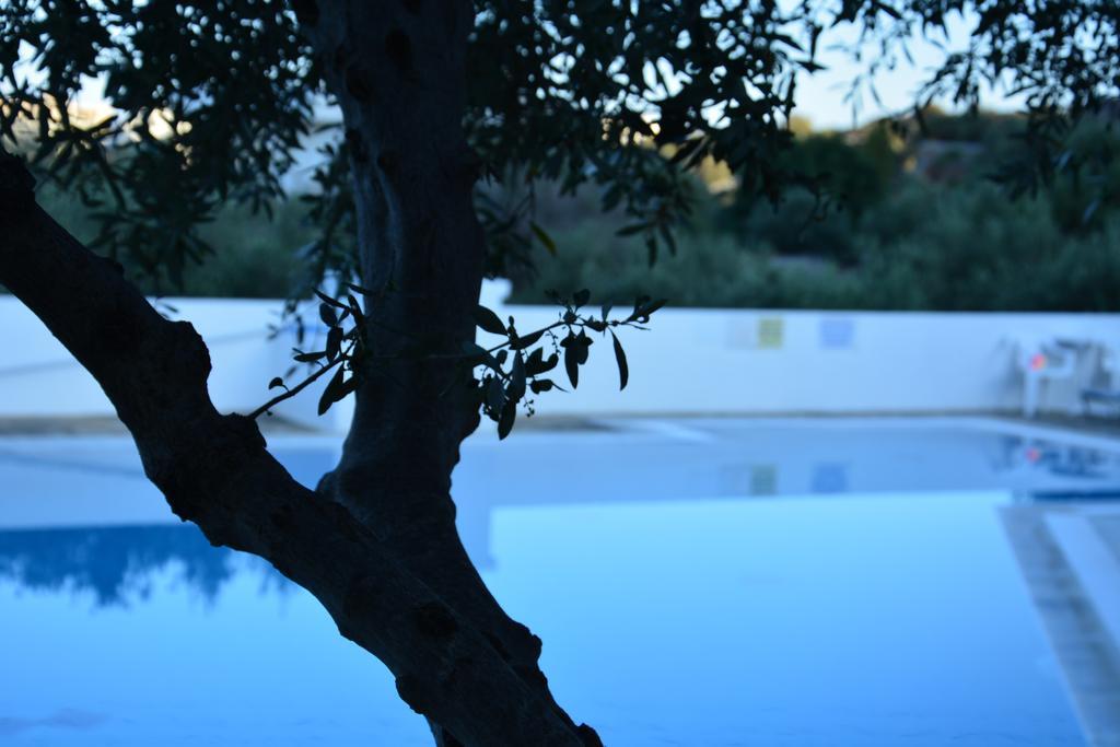 Primavera Paradise Apartments Agios Nikolaos Extérieur photo